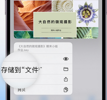 长岭apple维修中心分享iPhone文件应用中存储和找到下载文件