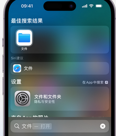 长岭apple维修中心分享iPhone文件应用中存储和找到下载文件 