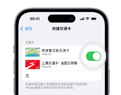 长岭apple维修点分享iPhone上更换Apple Pay快捷交通卡手绘卡面 