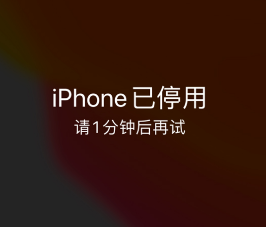 长岭苹果手机维修分享:iPhone 显示“不可用”或“已停用”怎么办？还能保留数据吗？ 