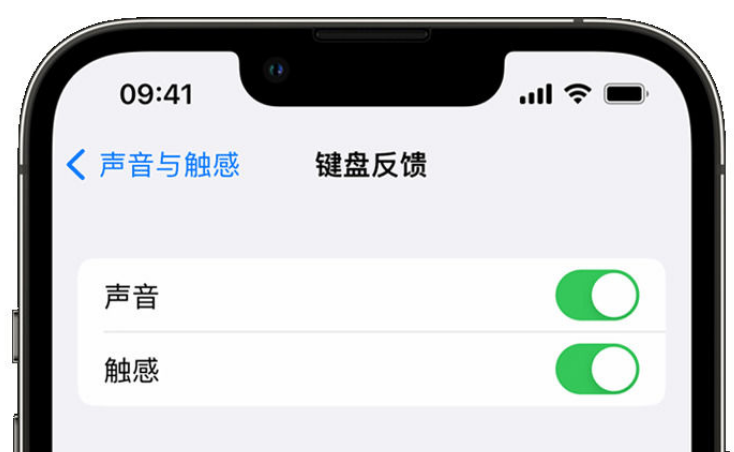 长岭苹果手机维修分享iPhone 14触感键盘使用方法 