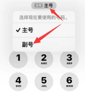 长岭苹果14维修店分享iPhone 14 Pro Max使用副卡打电话的方法 