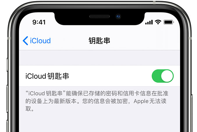 长岭苹果手机维修分享在 iPhone 上开启 iCloud 钥匙串之后会储存哪些信息 