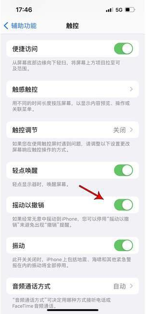 长岭苹果手机维修分享iPhone手机如何设置摇一摇删除文字 