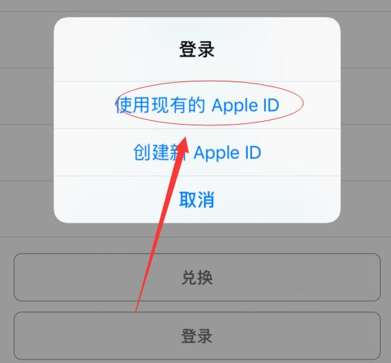 长岭苹果手机维修分享两台iPhone设备可以同时登录一个Apple ID吗 