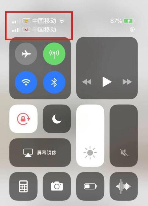 长岭苹果手机维修分享为 iPhone 12 双卡设置标签 